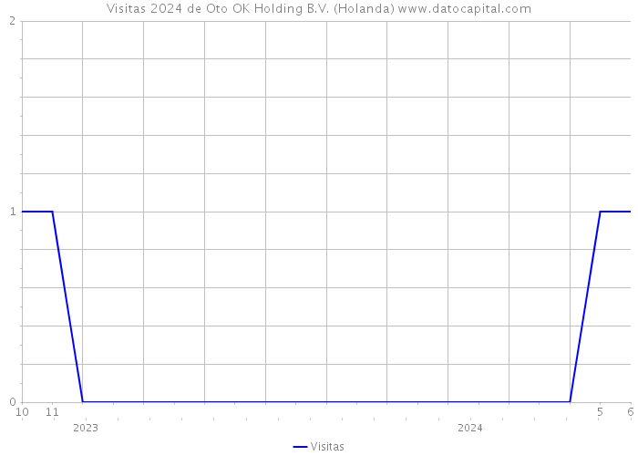 Visitas 2024 de Oto OK Holding B.V. (Holanda) 