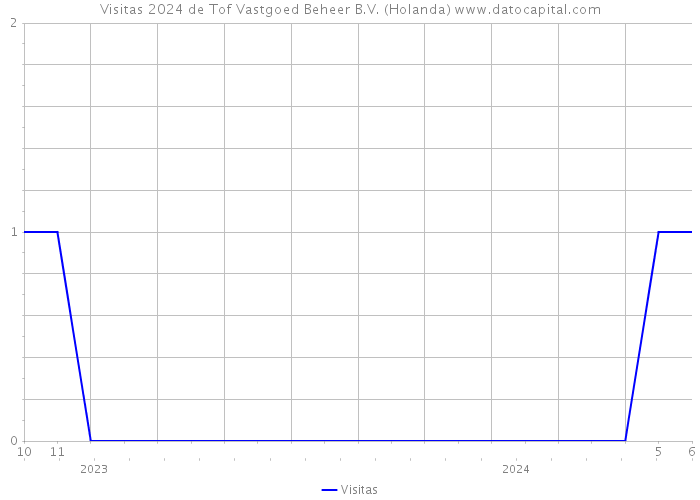 Visitas 2024 de Tof Vastgoed Beheer B.V. (Holanda) 