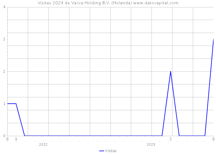 Visitas 2024 de Vacca Holding B.V. (Holanda) 