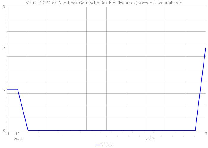 Visitas 2024 de Apotheek Goudsche Rak B.V. (Holanda) 