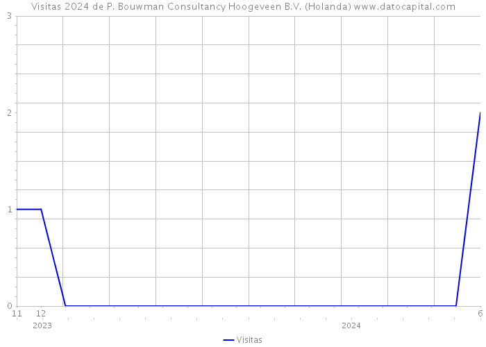 Visitas 2024 de P. Bouwman Consultancy Hoogeveen B.V. (Holanda) 