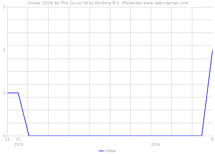 Visitas 2024 de The Good Vibes Holding B.V. (Holanda) 