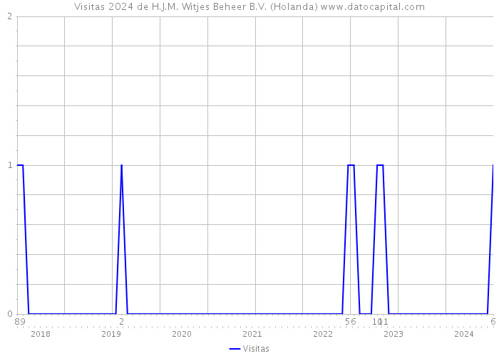 Visitas 2024 de H.J.M. Witjes Beheer B.V. (Holanda) 