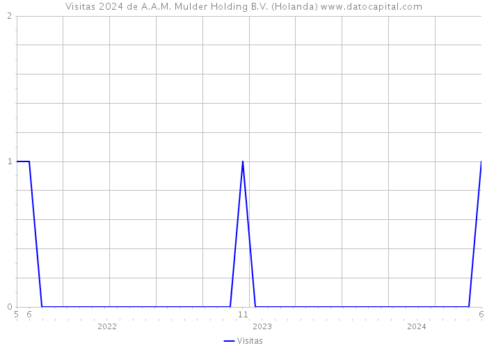 Visitas 2024 de A.A.M. Mulder Holding B.V. (Holanda) 