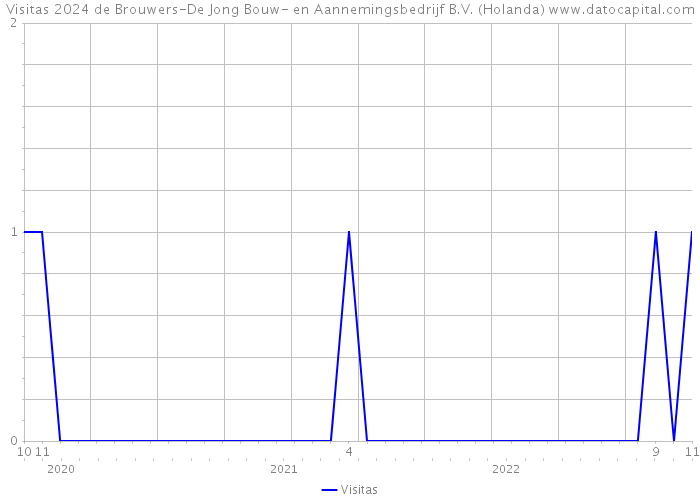 Visitas 2024 de Brouwers-De Jong Bouw- en Aannemingsbedrijf B.V. (Holanda) 