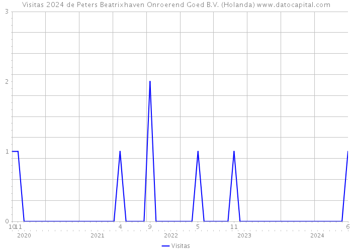 Visitas 2024 de Peters Beatrixhaven Onroerend Goed B.V. (Holanda) 