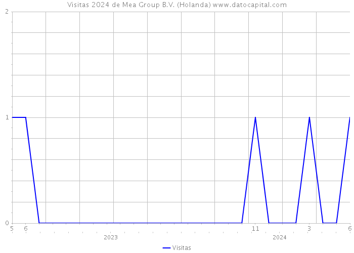 Visitas 2024 de Mea Group B.V. (Holanda) 