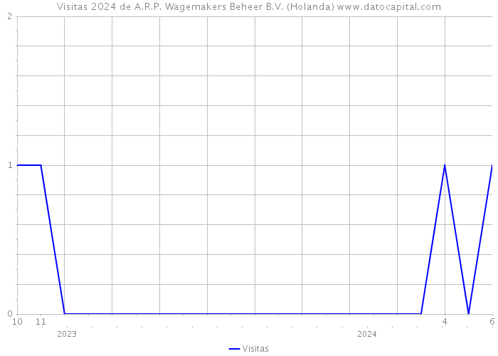 Visitas 2024 de A.R.P. Wagemakers Beheer B.V. (Holanda) 