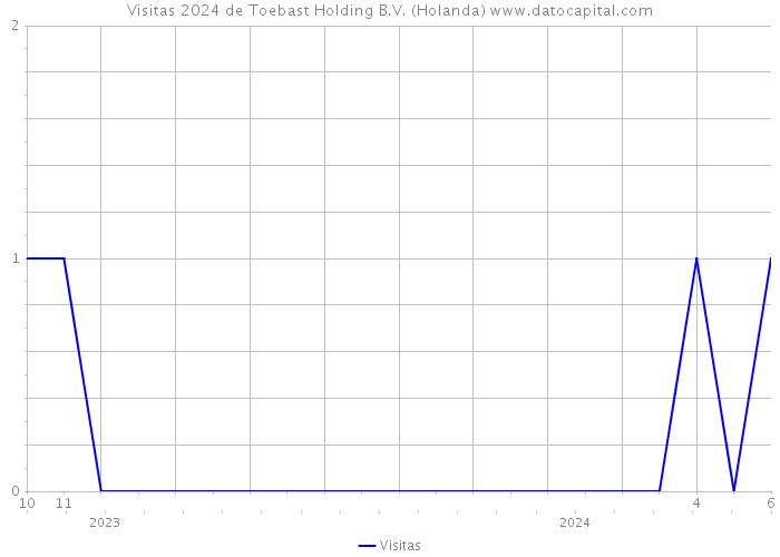 Visitas 2024 de Toebast Holding B.V. (Holanda) 