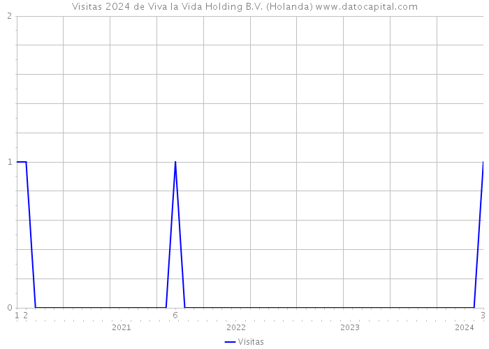 Visitas 2024 de Viva la Vida Holding B.V. (Holanda) 