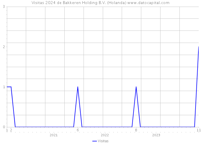 Visitas 2024 de Bakkeren Holding B.V. (Holanda) 