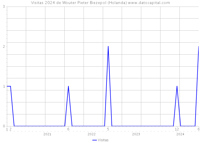 Visitas 2024 de Wouter Pieter Biezepol (Holanda) 