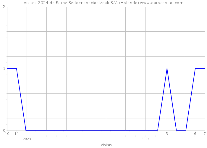 Visitas 2024 de Bothe Beddenspeciaalzaak B.V. (Holanda) 