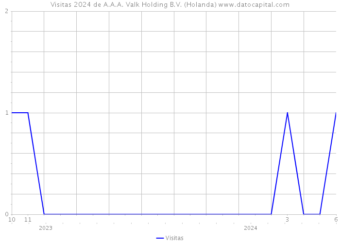 Visitas 2024 de A.A.A. Valk Holding B.V. (Holanda) 