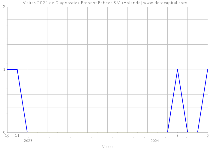 Visitas 2024 de Diagnostiek Brabant Beheer B.V. (Holanda) 
