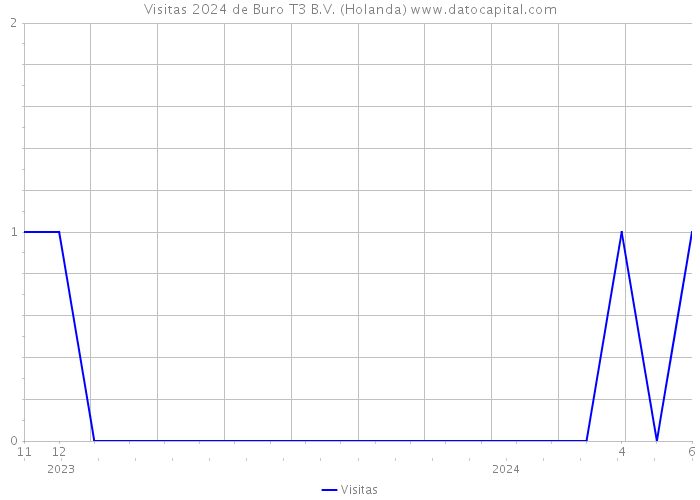 Visitas 2024 de Buro T3 B.V. (Holanda) 