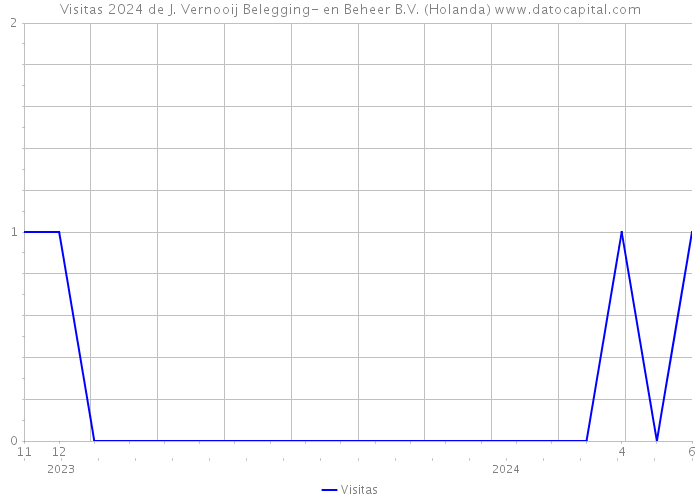 Visitas 2024 de J. Vernooij Belegging- en Beheer B.V. (Holanda) 