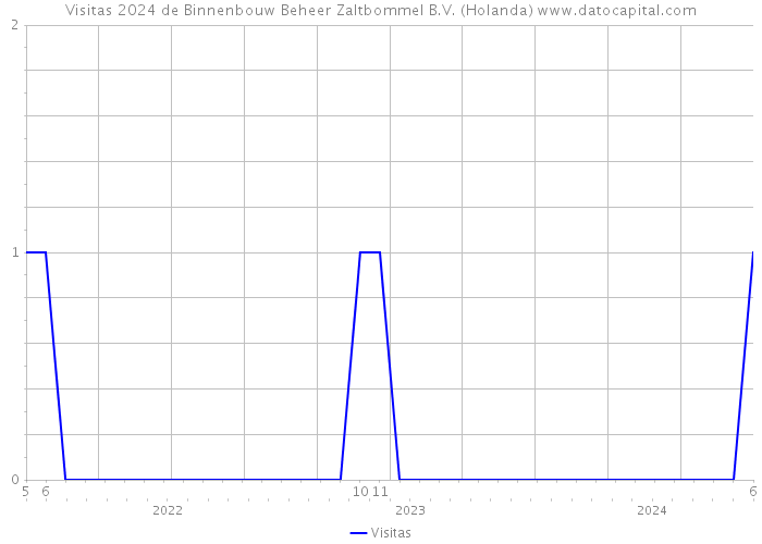 Visitas 2024 de Binnenbouw Beheer Zaltbommel B.V. (Holanda) 