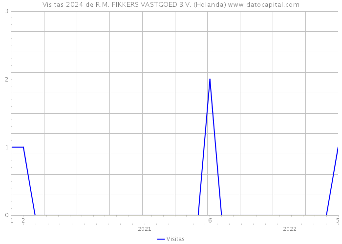 Visitas 2024 de R.M. FIKKERS VASTGOED B.V. (Holanda) 