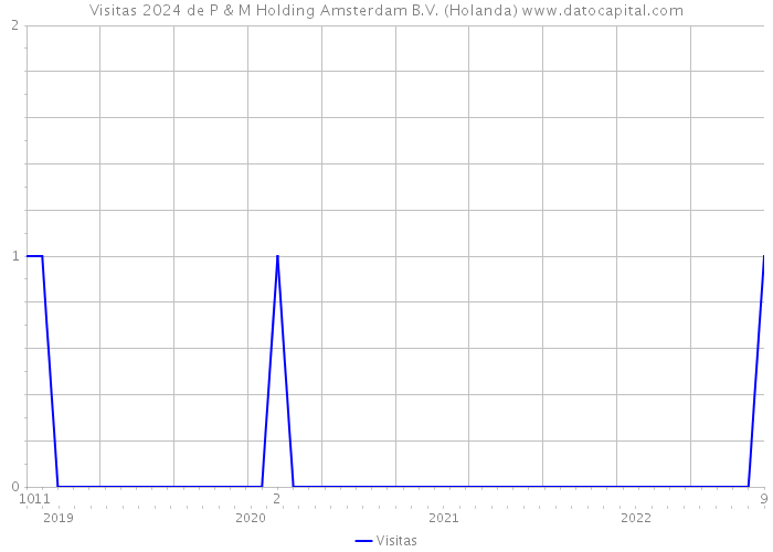 Visitas 2024 de P & M Holding Amsterdam B.V. (Holanda) 