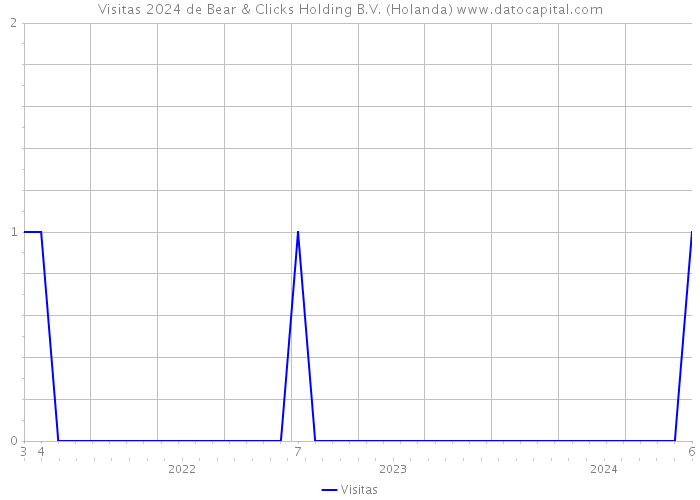 Visitas 2024 de Bear & Clicks Holding B.V. (Holanda) 