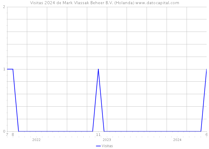 Visitas 2024 de Mark Vlassak Beheer B.V. (Holanda) 