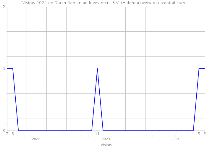 Visitas 2024 de Dutch Romanian Investment B.V. (Holanda) 
