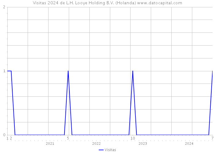 Visitas 2024 de L.H. Looye Holding B.V. (Holanda) 