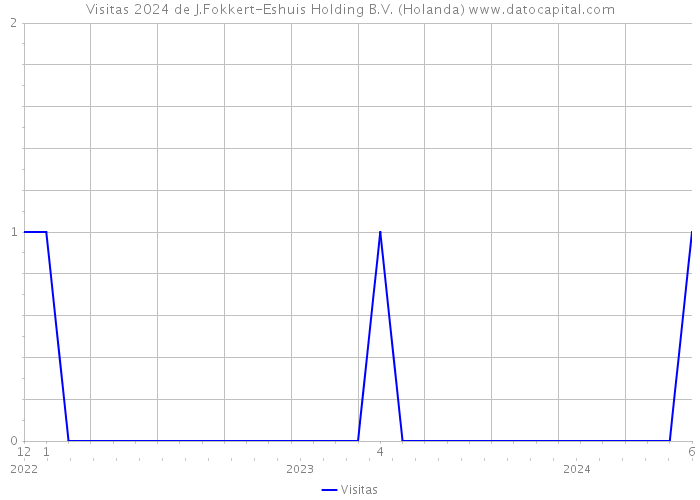 Visitas 2024 de J.Fokkert-Eshuis Holding B.V. (Holanda) 