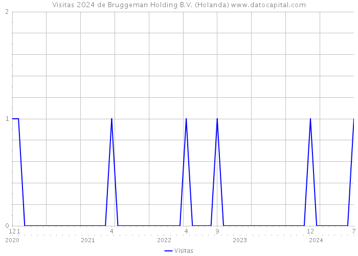 Visitas 2024 de Bruggeman Holding B.V. (Holanda) 