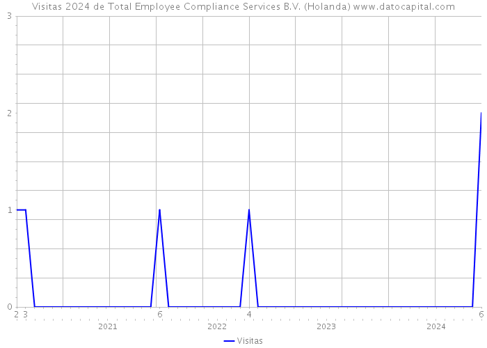 Visitas 2024 de Total Employee Compliance Services B.V. (Holanda) 