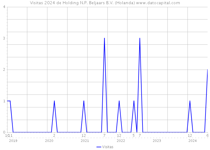 Visitas 2024 de Holding N.P. Beljaars B.V. (Holanda) 