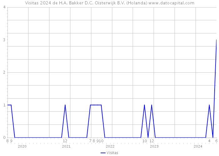 Visitas 2024 de H.A. Bakker D.C. Oisterwijk B.V. (Holanda) 