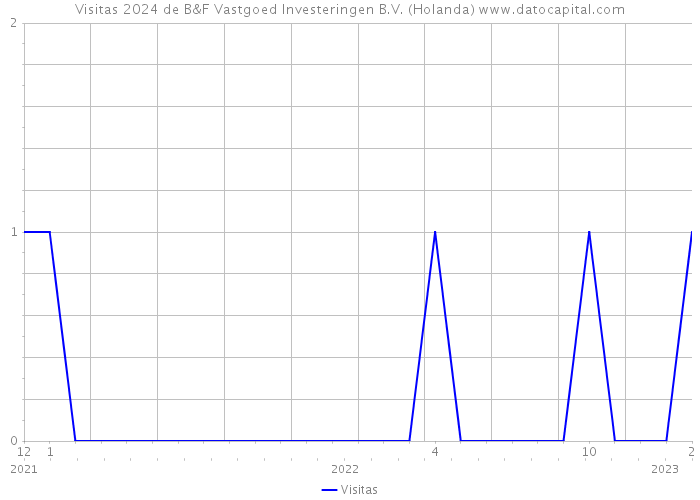 Visitas 2024 de B&F Vastgoed Investeringen B.V. (Holanda) 