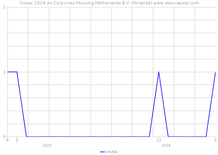 Visitas 2024 de Corporate Housing Netherlands B.V. (Holanda) 