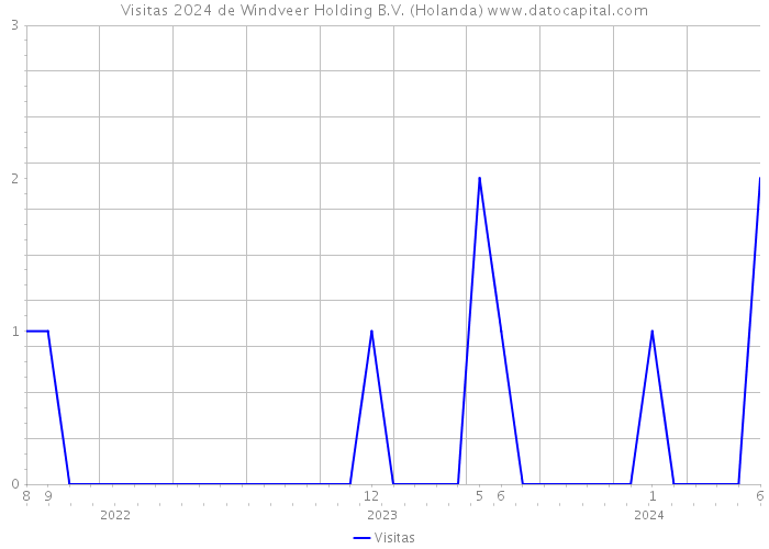 Visitas 2024 de Windveer Holding B.V. (Holanda) 