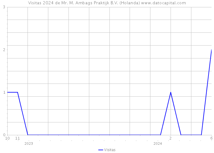 Visitas 2024 de Mr. M. Ambags Praktijk B.V. (Holanda) 