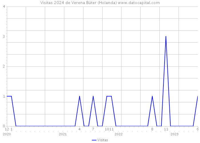 Visitas 2024 de Verena Büter (Holanda) 