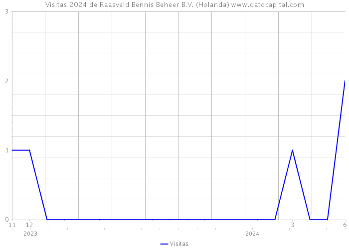 Visitas 2024 de Raasveld Bennis Beheer B.V. (Holanda) 