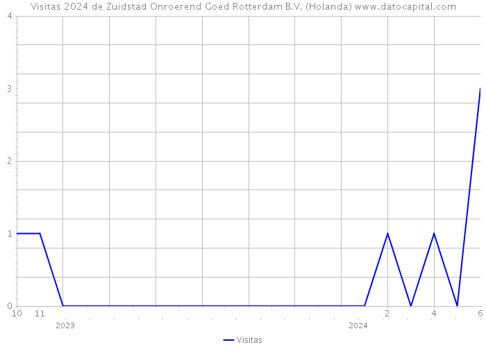 Visitas 2024 de Zuidstad Onroerend Goed Rotterdam B.V. (Holanda) 