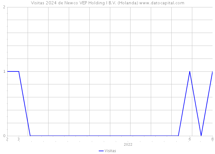 Visitas 2024 de Newco VEP Holding I B.V. (Holanda) 