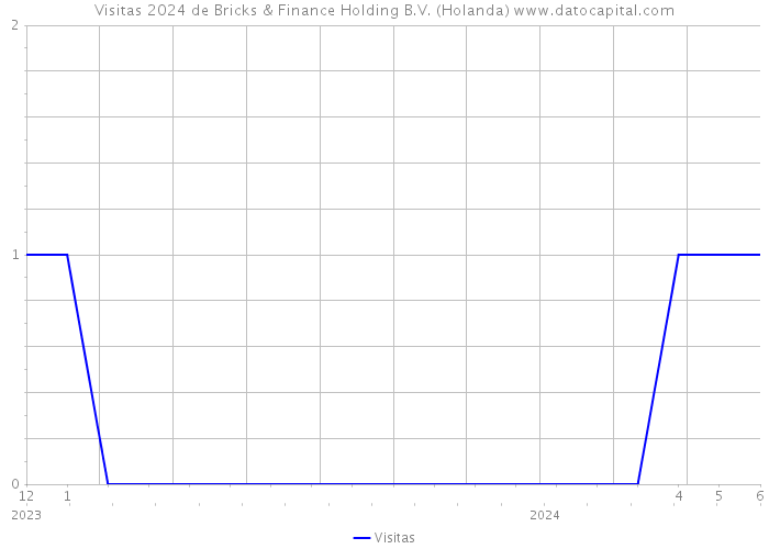 Visitas 2024 de Bricks & Finance Holding B.V. (Holanda) 