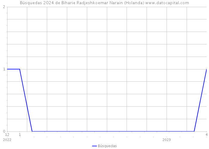 Búsquedas 2024 de Biharie Radjeshkoemar Narain (Holanda) 