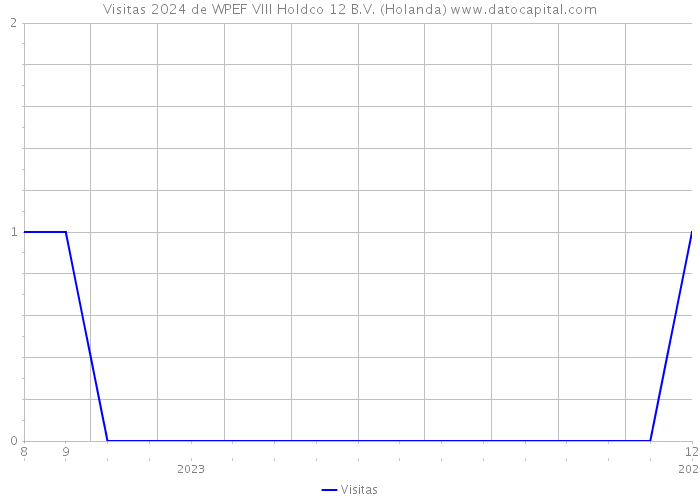 Visitas 2024 de WPEF VIII Holdco 12 B.V. (Holanda) 