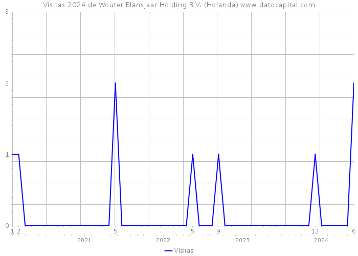 Visitas 2024 de Wouter Blansjaar Holding B.V. (Holanda) 