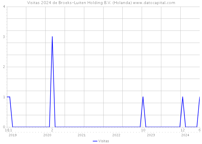 Visitas 2024 de Broeks-Luiten Holding B.V. (Holanda) 