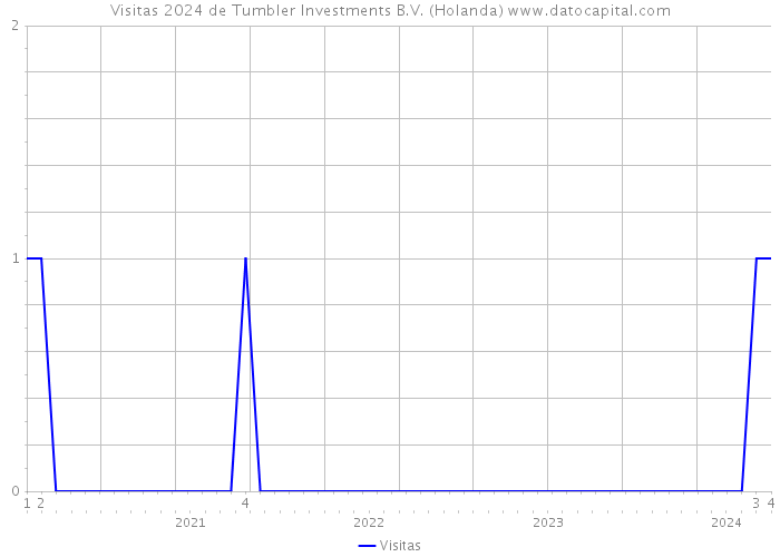 Visitas 2024 de Tumbler Investments B.V. (Holanda) 
