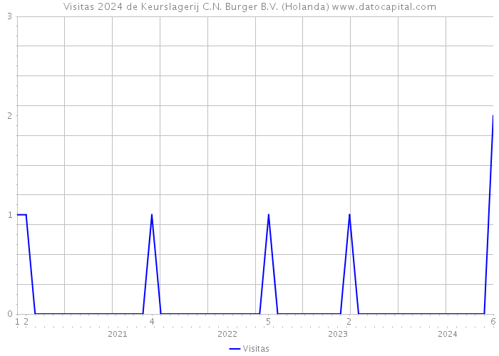 Visitas 2024 de Keurslagerij C.N. Burger B.V. (Holanda) 