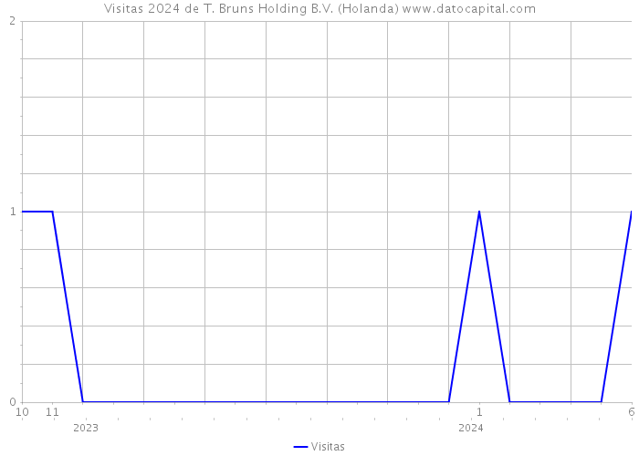 Visitas 2024 de T. Bruns Holding B.V. (Holanda) 