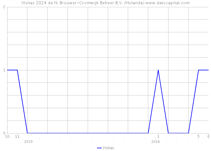 Visitas 2024 de N. Brouwer-Cromwijk Beheer B.V. (Holanda) 